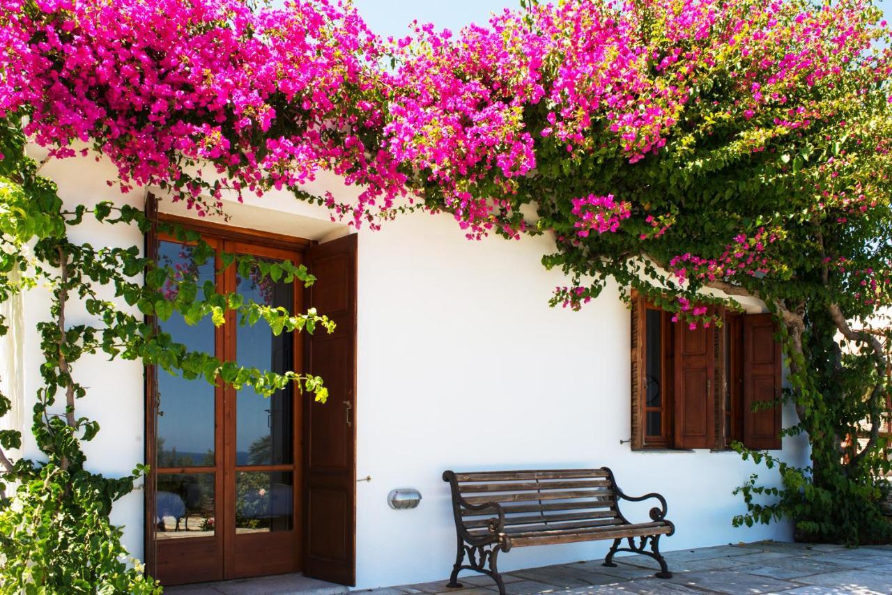 Villa Celestina, Great For Privacy And Seclusion Chrisopigi (Sifnos) Exterior foto